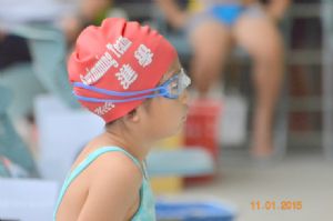 2015年台南市短水道分級游泳錦標賽