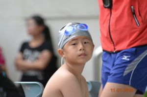2015年台南市短水道分級游泳錦標賽