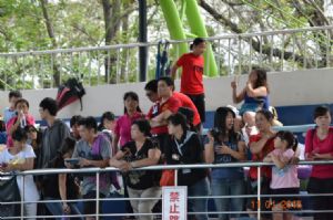 2015年台南市短水道分級游泳錦標賽