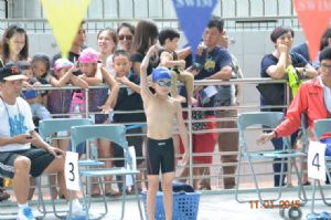2015年台南市短水道分級游泳錦標賽