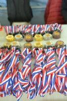105年台南市中等學校運動會